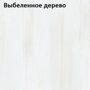 Угловой шкаф с зеркалом YR-230х1034-TR-M Риал в Кудымкаре - kudymkar.mebel-74.com | фото