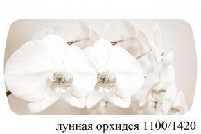 БОСТОН - 3 Стол раздвижной Лунная орхидея 1100/1420 опоры Триумф в Кудымкаре - kudymkar.mebel-74.com | фото