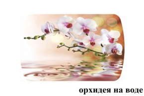 БОСТОН - 3 Стол раздвижной Орхидея на воде 1100/1420 опоры Триумф в Кудымкаре - kudymkar.mebel-74.com | фото