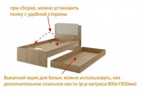 Дуглас (подростковая) М14 Кровать в Кудымкаре - kudymkar.mebel-74.com | фото