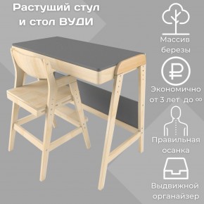 Комплект растущий стол и стул 38 попугаев «Вуди» (Серый, Без покрытия) в Кудымкаре - kudymkar.mebel-74.com | фото