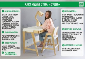 Комплект растущий стол и стул 38 попугаев «Вуди» (Серый, Без покрытия) в Кудымкаре - kudymkar.mebel-74.com | фото