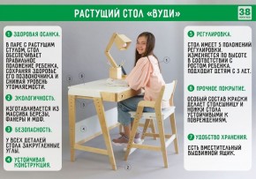 Комплект растущий стол и стул с чехлом 38 попугаев «Вуди» (Белый, Белый, Салют) в Кудымкаре - kudymkar.mebel-74.com | фото