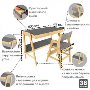 Комплект растущий стол и стул с чехлом 38 попугаев «Вуди» (Серый, Береза, Серый) в Кудымкаре - kudymkar.mebel-74.com | фото