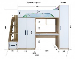 Кровать-чердак Тея (*Без Пенала) в Кудымкаре - kudymkar.mebel-74.com | фото