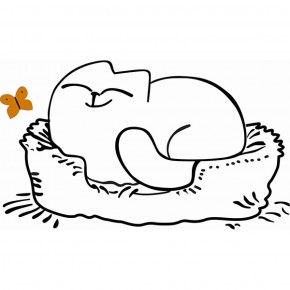 Кровать двухуровневая Кот № 900.1 ЛЕВАЯ (туя светлая/белый) в Кудымкаре - kudymkar.mebel-74.com | фото