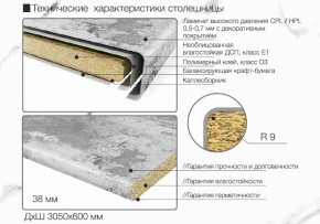 Кухонный фартук со столешницей (А-01) в едином стиле (3050 мм) в Кудымкаре - kudymkar.mebel-74.com | фото