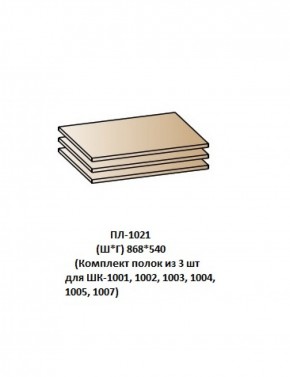 ПЛ-1021 (Комплект полок из 3 шт для ШК-1001, 1002, 1003, 1004, 1005, 1007) в Кудымкаре - kudymkar.mebel-74.com | фото