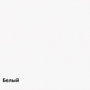 Полка Снейк 1 в Кудымкаре - kudymkar.mebel-74.com | фото