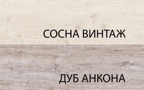 Шкаф 2D1S, MONAKO, цвет Сосна винтаж/дуб анкона в Кудымкаре - kudymkar.mebel-74.com | фото