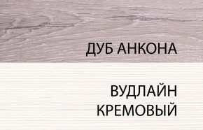 Шкаф 2DG, OLIVIA, цвет вудлайн крем/дуб анкона в Кудымкаре - kudymkar.mebel-74.com | фото
