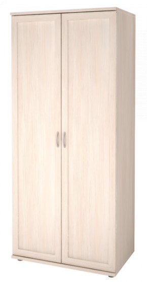 Шкаф для одежды 2-х дверный Ника-Люкс 21 в Кудымкаре - kudymkar.mebel-74.com | фото