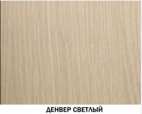 Шкаф для одежды №609 "Инна" Денвер светлый (*без полок) в Кудымкаре - kudymkar.mebel-74.com | фото
