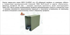 Шкаф-купе 1500 серии NEW CLASSIC K2+K2+B2+PL2(2 ящика+1 штанга+1 полка) профиль «Капучино» в Кудымкаре - kudymkar.mebel-74.com | фото