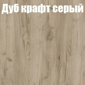 Шкаф-купе Эдем 1.5 (Дуб Крафт серый/Бетонный камень) двери ЛДСП в Кудымкаре - kudymkar.mebel-74.com | фото