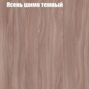 Шкаф-купе «ТАНДЕМ» 2-х дверный в алюминиевом профиле (Дверь К+К) 1600/h2200 в Кудымкаре - kudymkar.mebel-74.com | фото