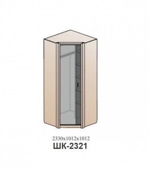 Шкаф ШЕР Дуб серый (ШК-2321) в Кудымкаре - kudymkar.mebel-74.com | фото