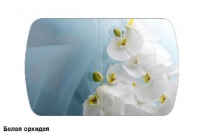 Стол Бостон 2 (1100*700) опоры Брифинг (Стекло/фотопечать Белая орхидея) в Кудымкаре - kudymkar.mebel-74.com | фото