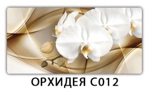 Стол раздвижной Трилогия с фотопечатью Доска D111 в Кудымкаре - kudymkar.mebel-74.com | фото