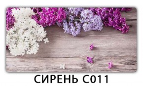 Стол раздвижной Трилогия с фотопечатью Орхидея C013 в Кудымкаре - kudymkar.mebel-74.com | фото