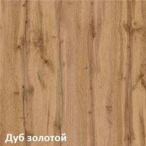 Вуди Шкаф для одежды 13.138 в Кудымкаре - kudymkar.mebel-74.com | фото
