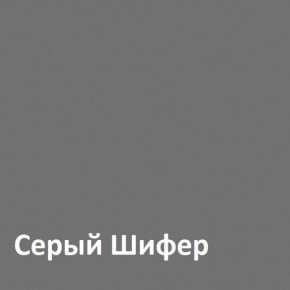 Юнона Шкаф торцевой 13.221 в Кудымкаре - kudymkar.mebel-74.com | фото